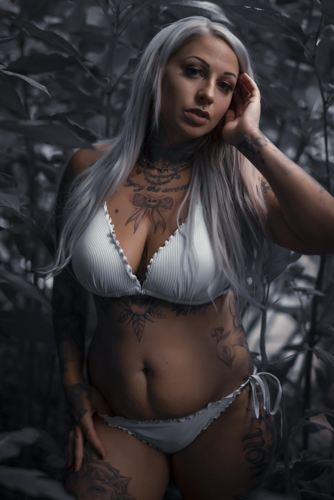  DSC8600