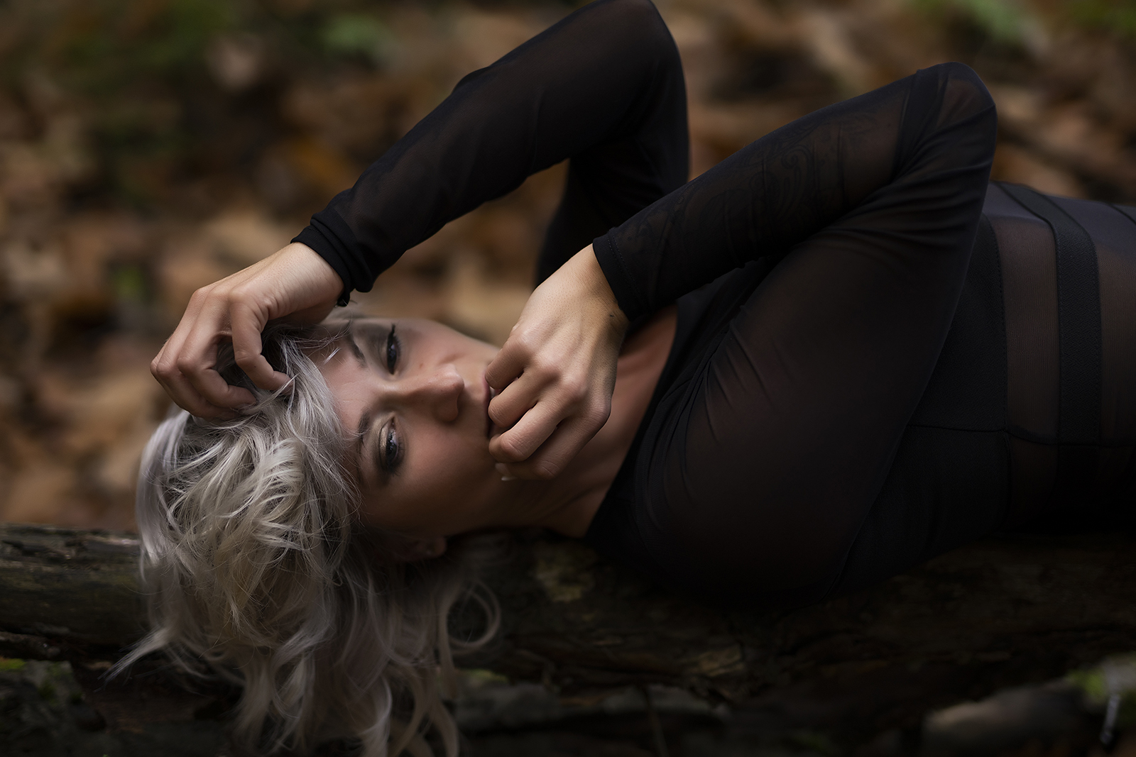  DSC2508